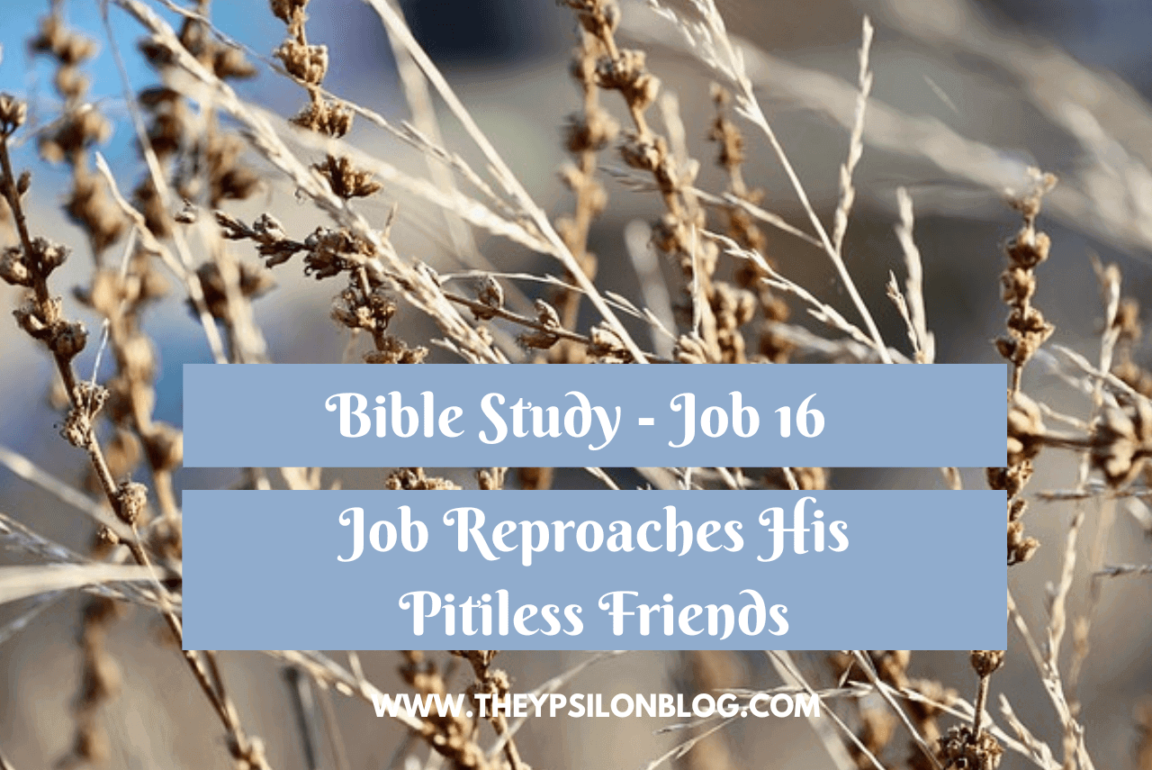 Bible Study On Job 16 - Job Rebukes His Friends | TheYpsilonBlog