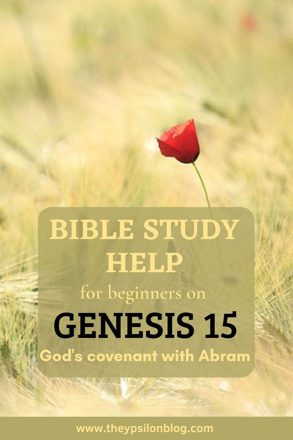 Bible Study On Genesis 15 | TheYpsilonBlog