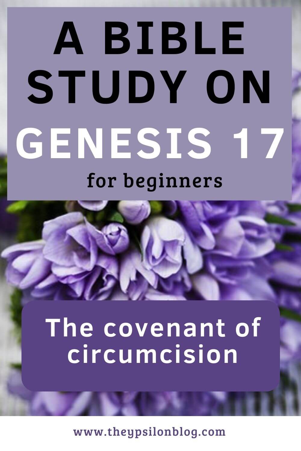 Bible Study On Genesis 17 | TheYpsilonBlog