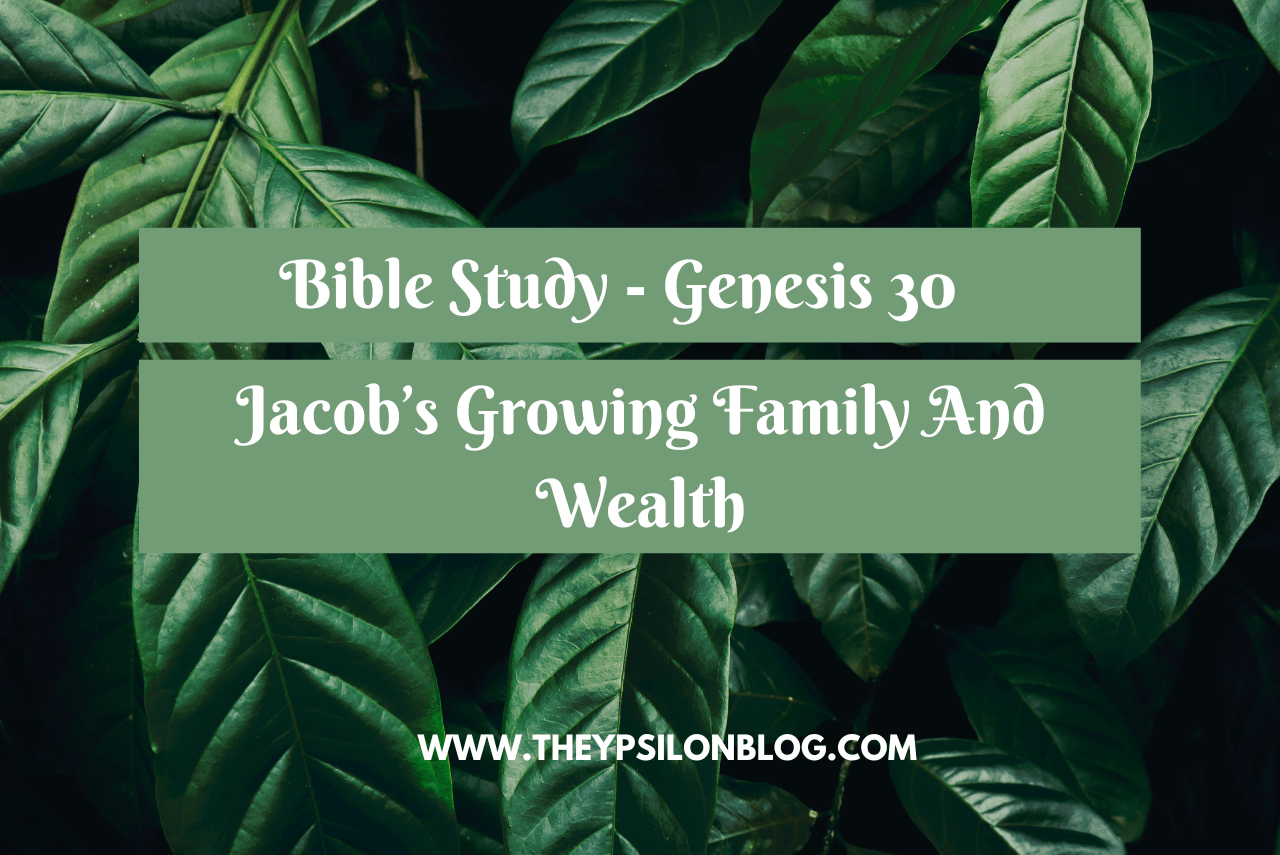 Bible Study on Genesis 30 | TheYpsilonBlog